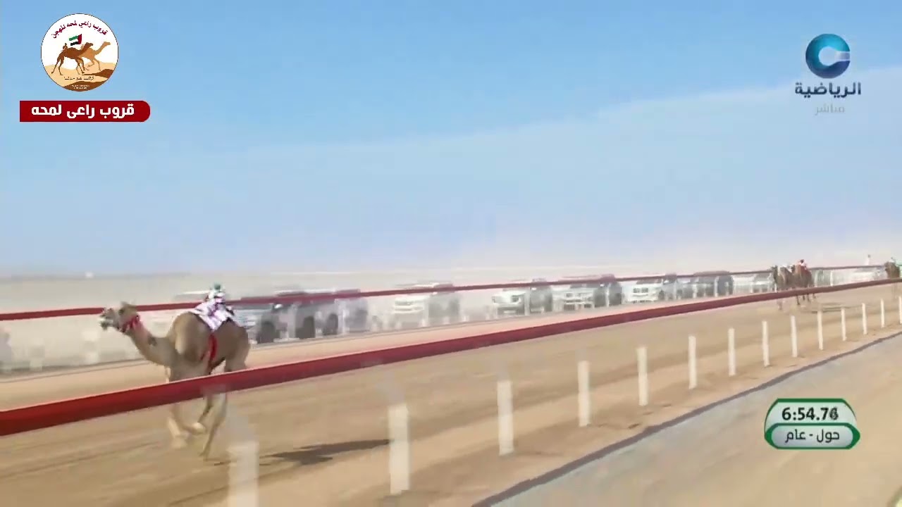 الشوط 3 ( السيف الفضي الحول عام )  (العنود) لـ علي بن خليفة الرميثي 12:45:56 ( مهرجان البشائر  2025)