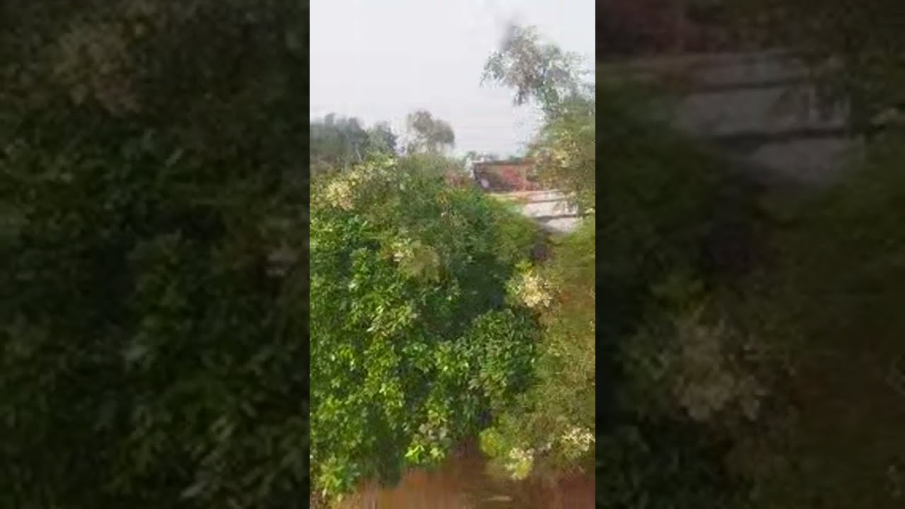 rudra shortR is live