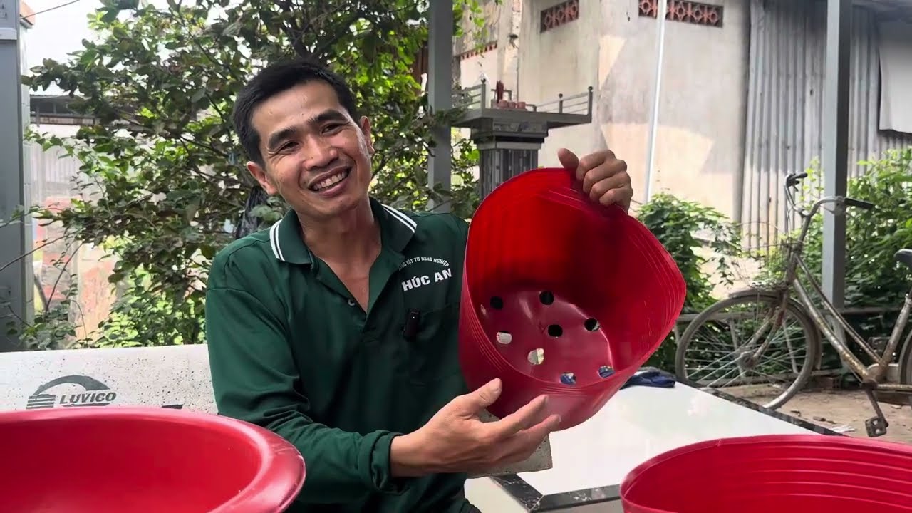 Những mẫu chậu trồng hoa vạn thọ cho phù hợp tết 2024 sdt 0973444022