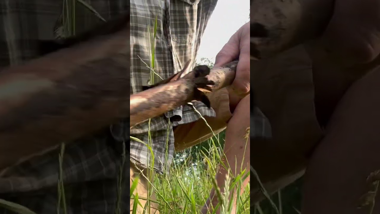 Fallkniven U2 Elmax, już wkrótce 👍