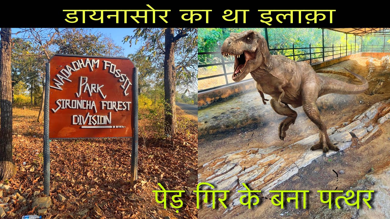 Wadadham Fossil Park Complete Hindi Video | Sironcha (Gadchiroli District) MotoVlog