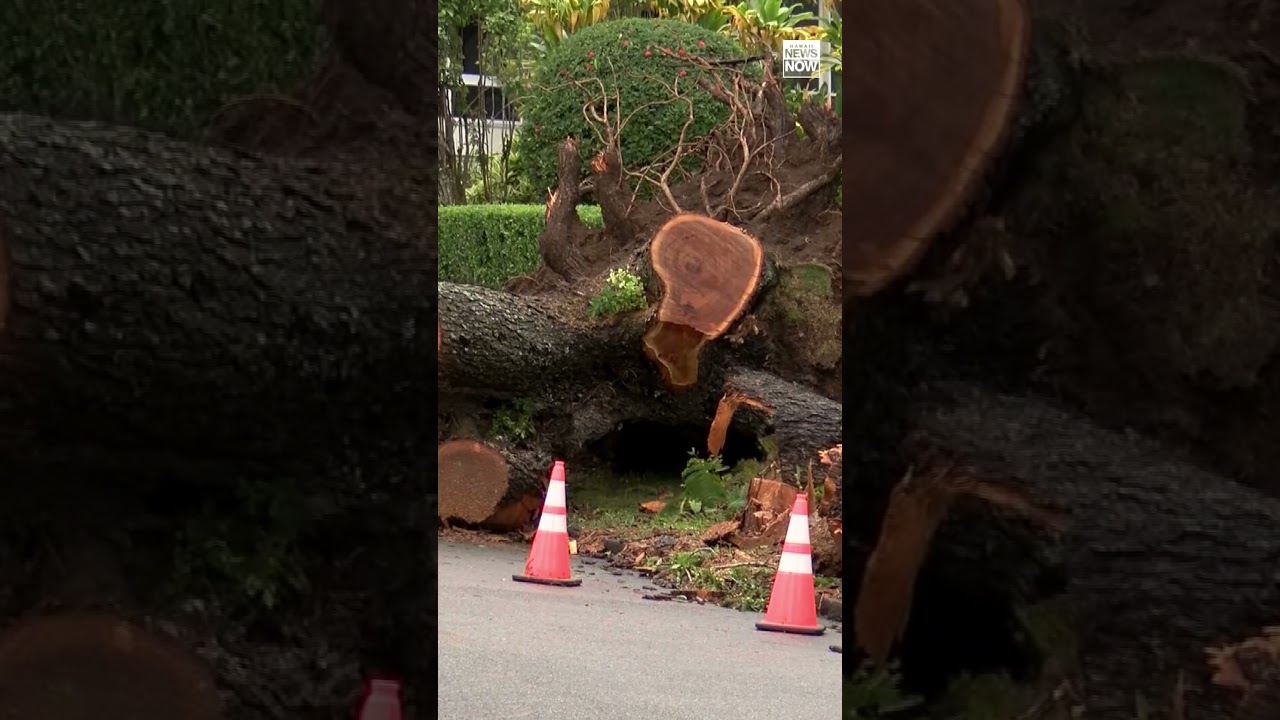 Damage reported across Oahu following severe weekend storm