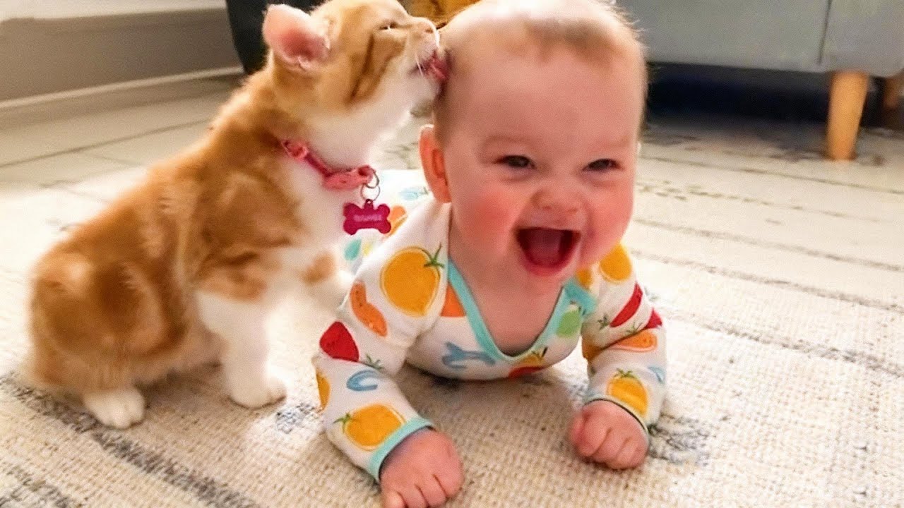 Pets Babysitting Babies (What Could Go Wrong?) 😭🤣 | Viral Fun