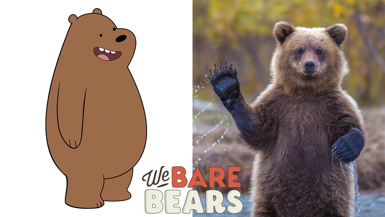 We Bare Bears Characters In Real Life | All Characters 2017