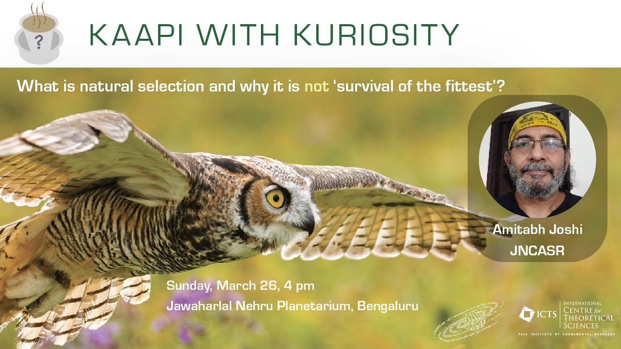 What is Natural Selection (and why it is not 'survival of the fittest')? by Amitabh Joshi
