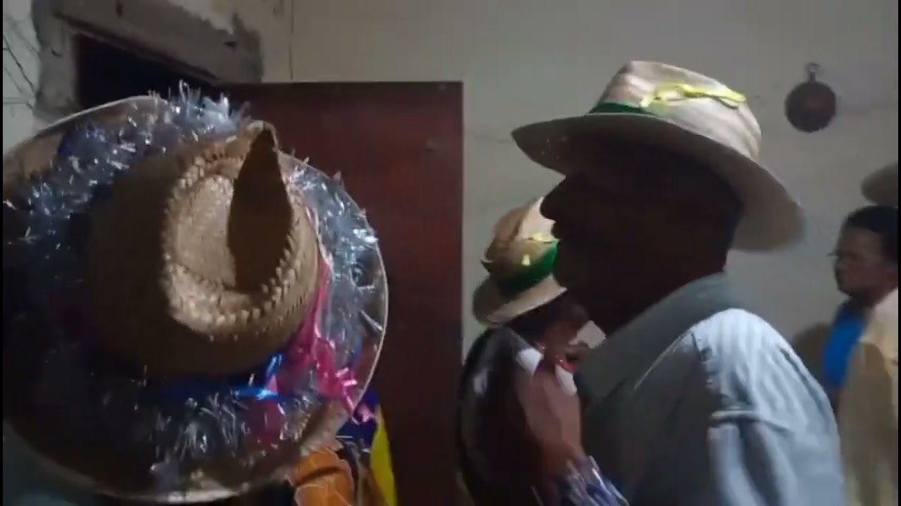 Vivo os fulhões de reis