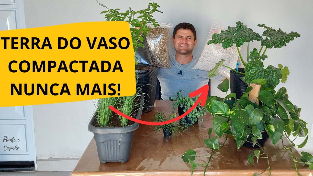 Como RESOLVER o problema da TERRA COMPACTADA no vaso e ACERTAR no CULTIVO orgânico da horta e jardim