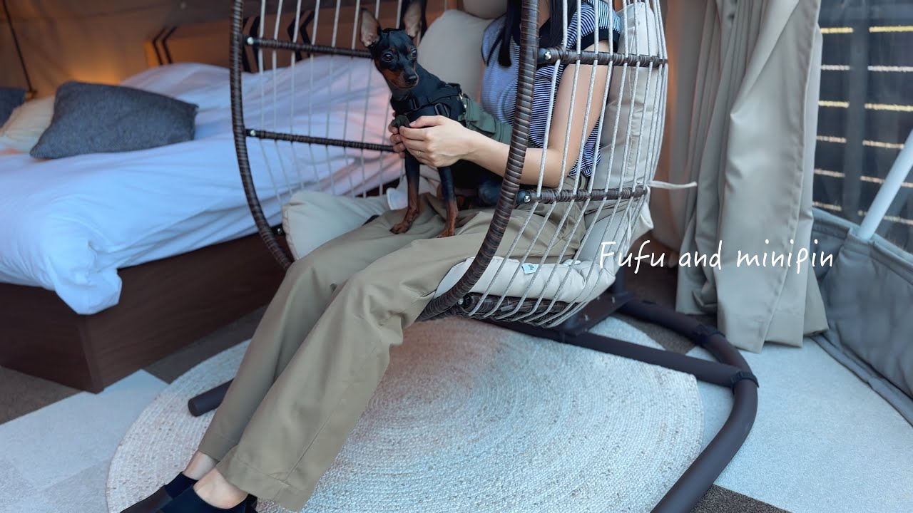 愛犬エルくんと夫婦の贅沢グランピング旅行　trip, autumn,Vlog