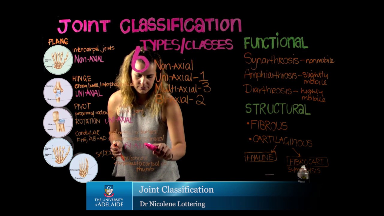 Joint Classification: Structural versus Functional