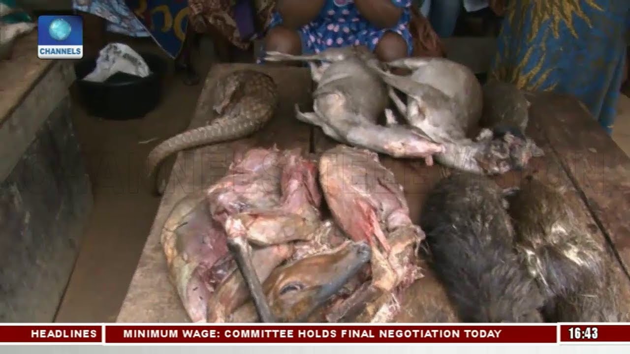 Oluwo Market Exhibits Nature's Kindness To Epe Pt.3 |Food Journey|