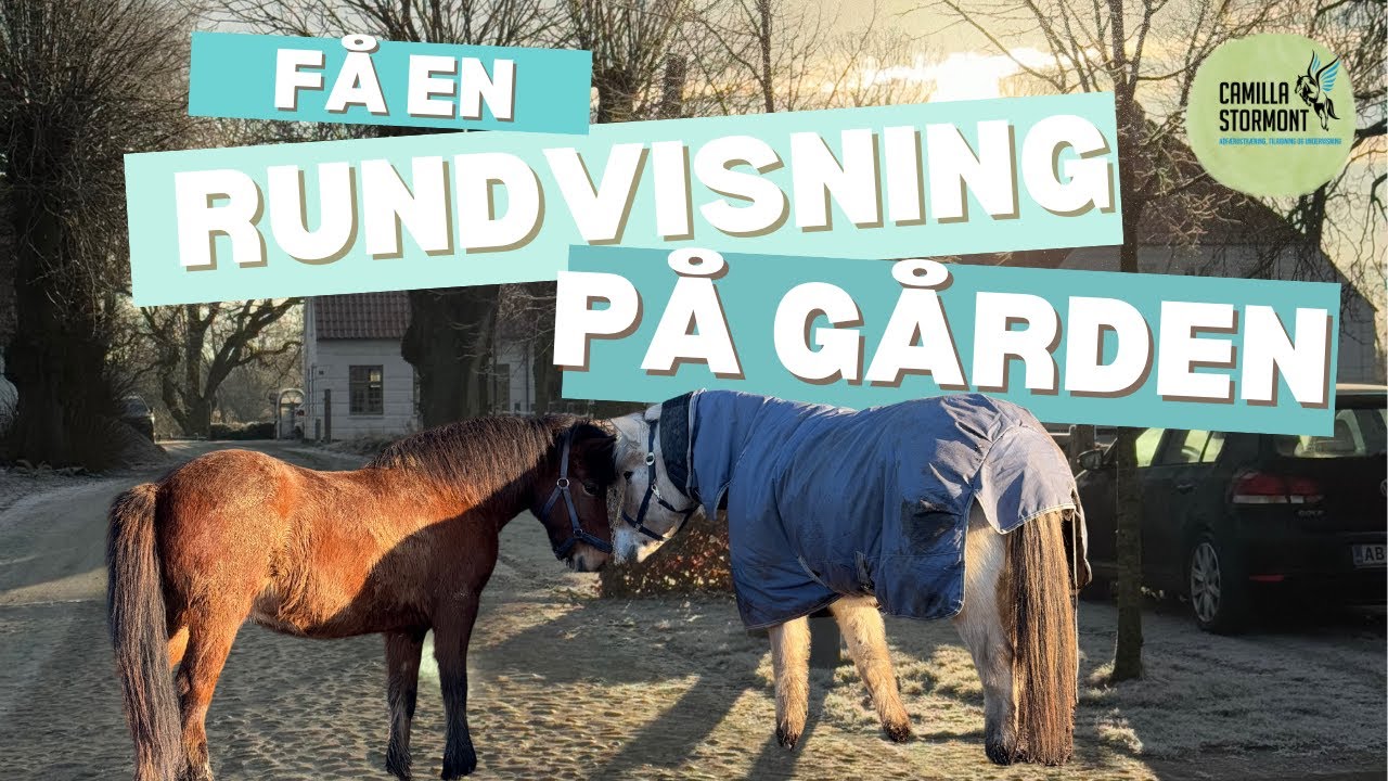 Jeg har købt min egen gård!