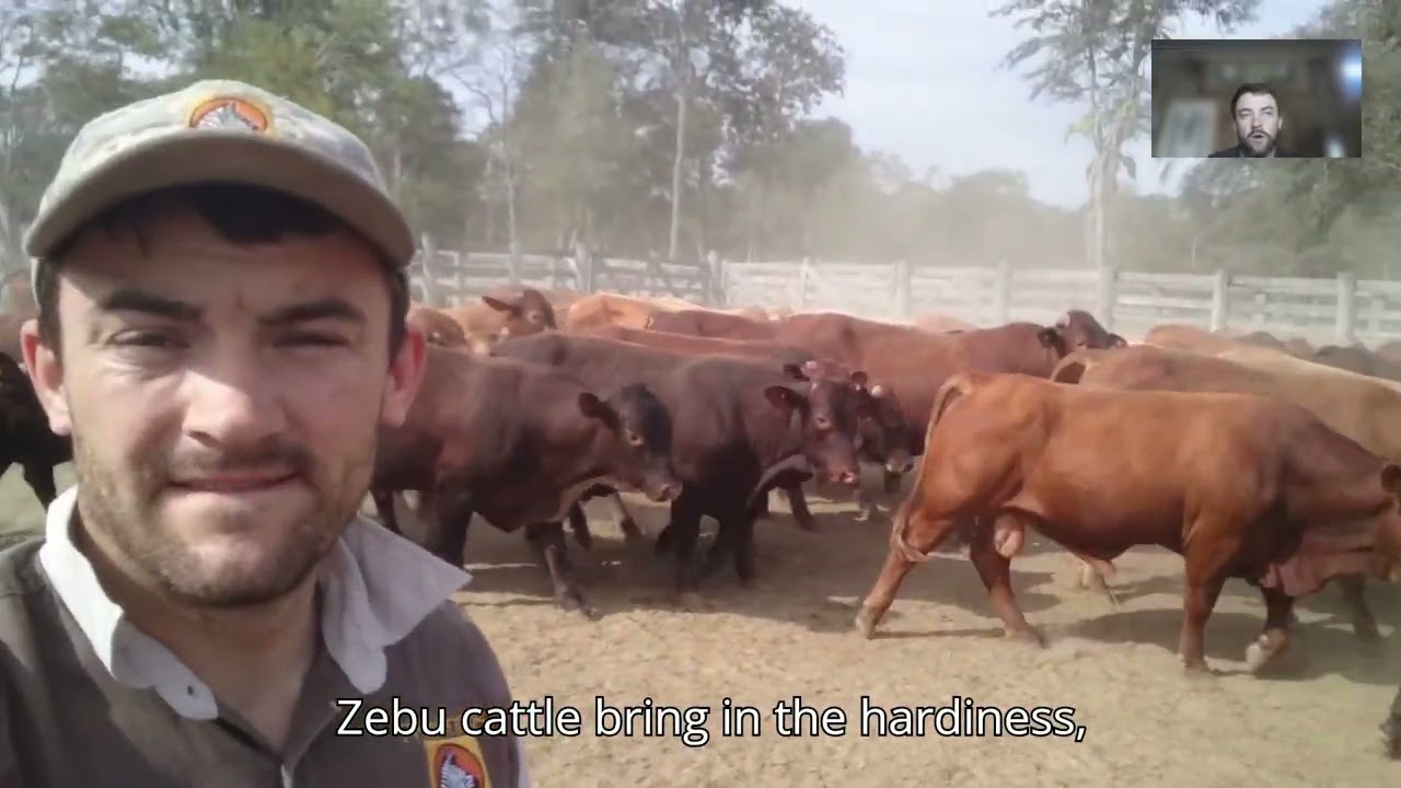 Agricultural powerhouse of Paraguay! Deforestation Success! Global Business Hub!
