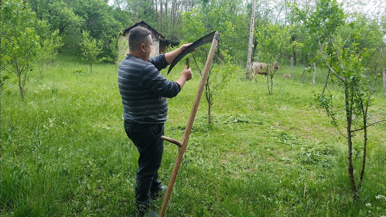 LA COSIT DE IARBĂ/ CUM SE ASCUTE O COASĂ