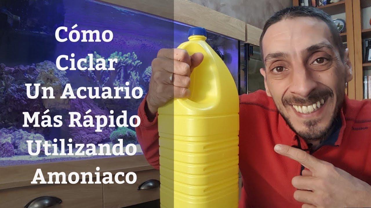 🔵 C&oacute;mo Ciclar Un Acuario Mas R&aacute;pido Utilizando Amoniaco (Acuarios MB)
