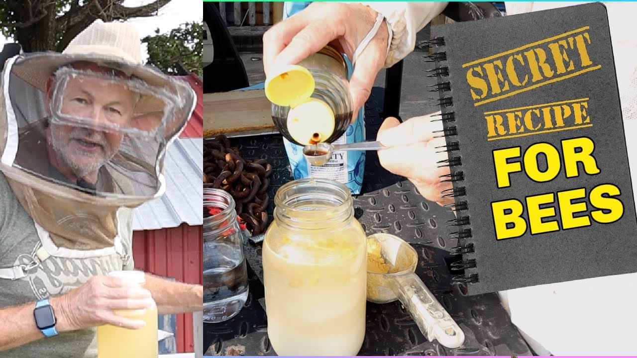 Beekeeping | My Secret Recipe For Feeding Bees In The Fall!