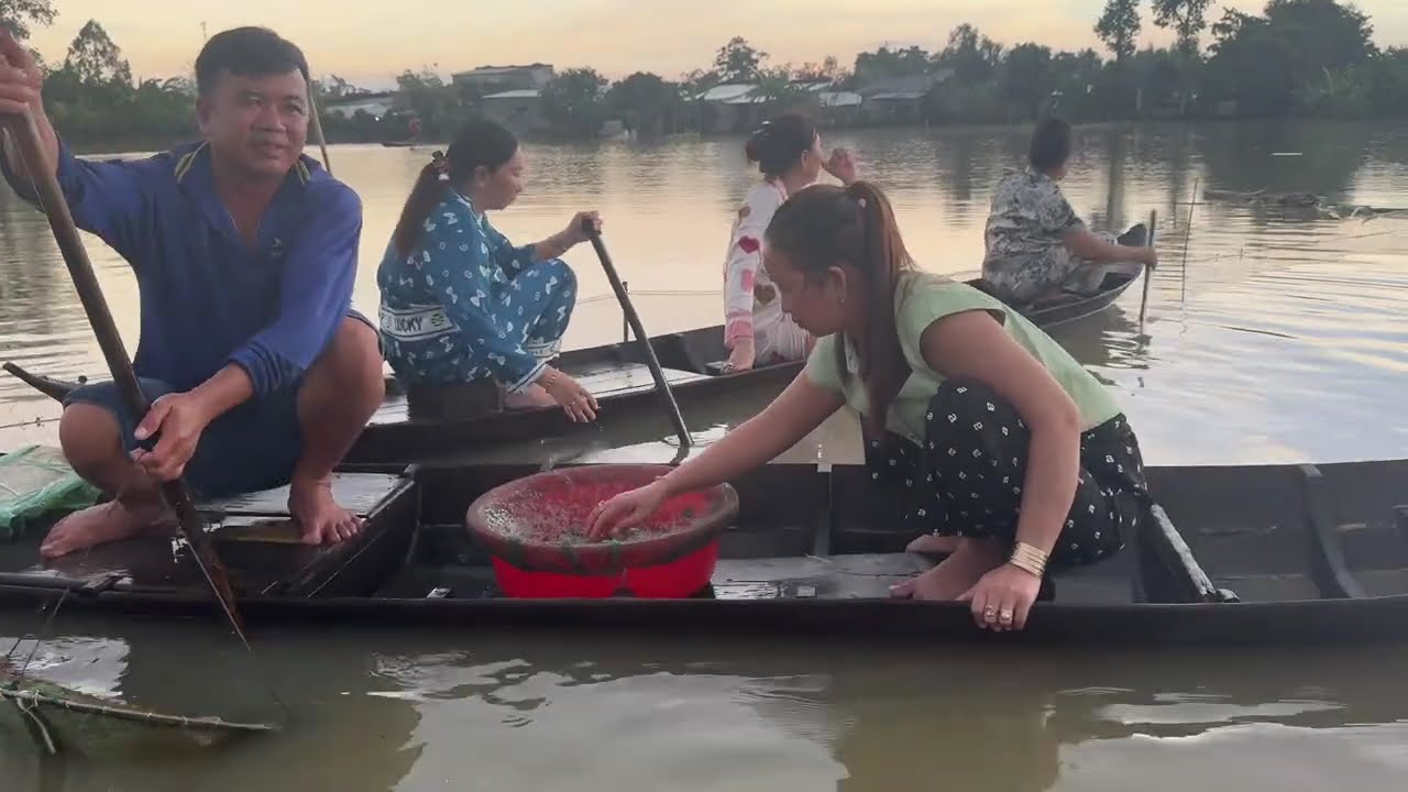 Mùa Nước Nổi Về Lấp Vò Đồng Tháp Bơi Xuồng Ba Lá Ra Ruộng Đổ Dớn Bắt Cá