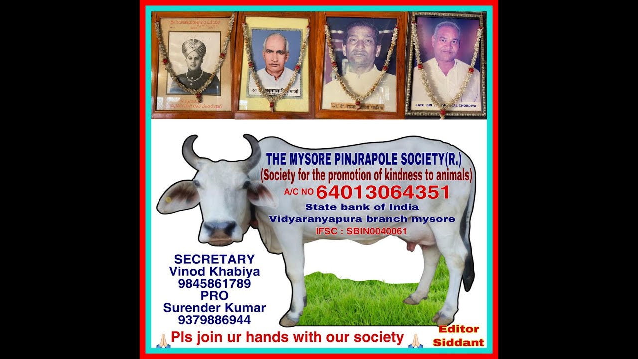 Sri Sri Pinjrapole Gaushala A Heaven On Earth For Cows || South India Biggest Gaushala