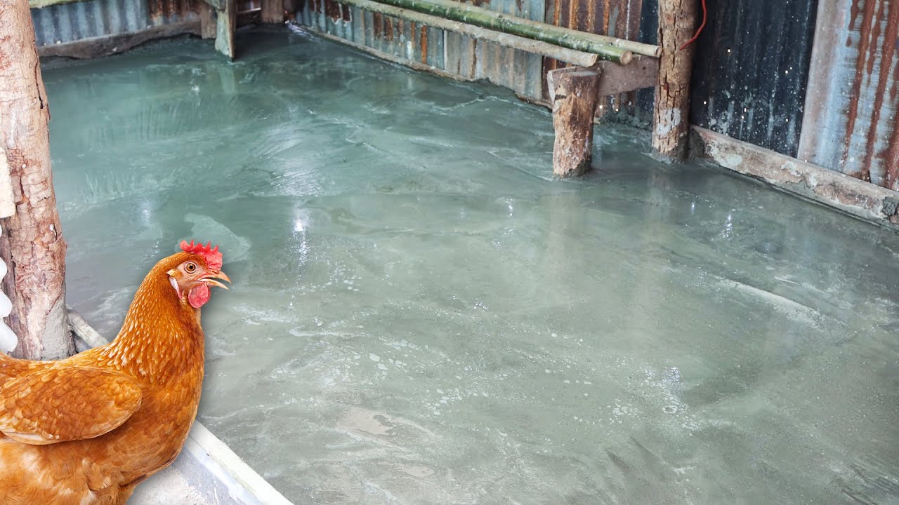 How to Make a Concrete Floor in a Chicken Coop with Your Own Hands - Cheap and Easy