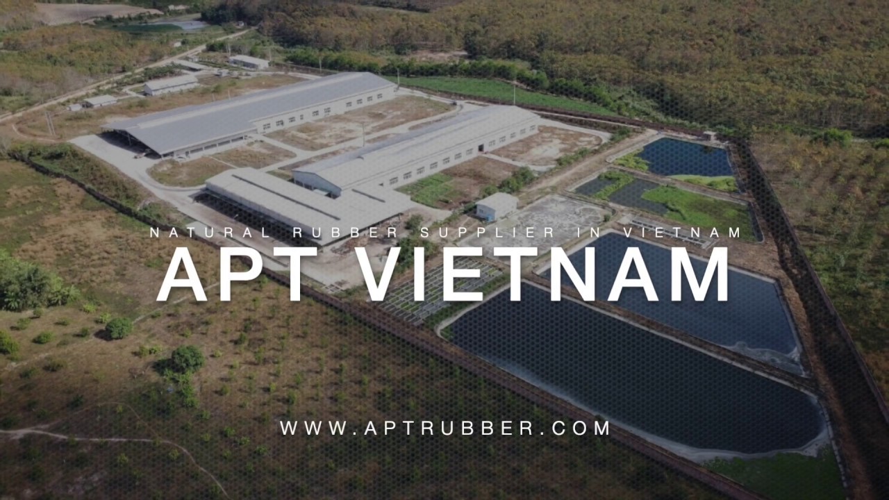 🌿 APT Rubber | Vietnam Natural Rubber Manufacturer | Sustainable SVR CV60, SVR 3L, SVR 10 Supplier