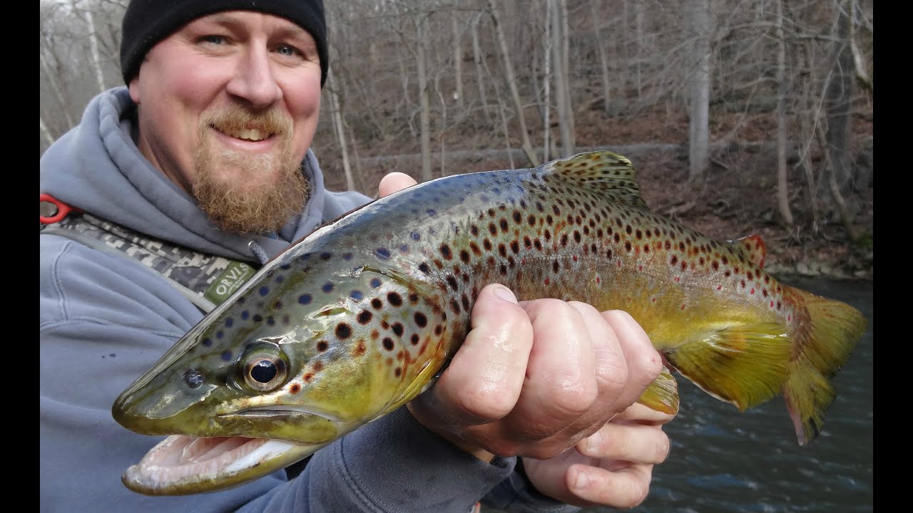 New For 2016!  Central PA Winter Trout Fly Fishing!  Non-Stop Action!