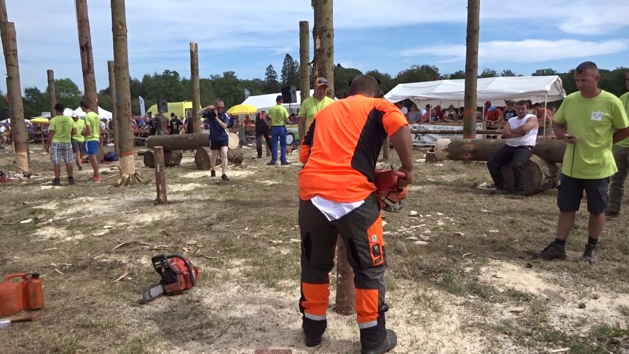 Concours de bûcheronnage. Fête du bois 2018. Sugny  Belgique
