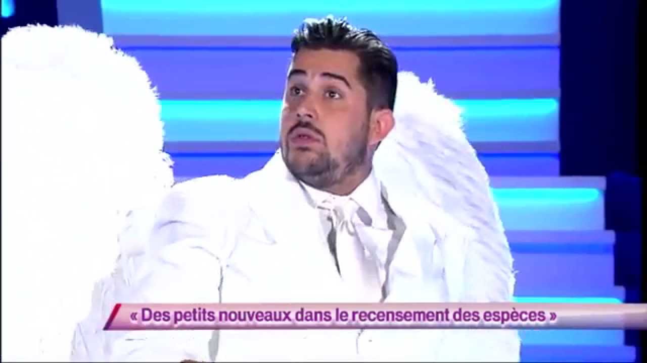 Artus - Des petits nouveaux dans le recensement des esp&egrave;ces #ONDAR