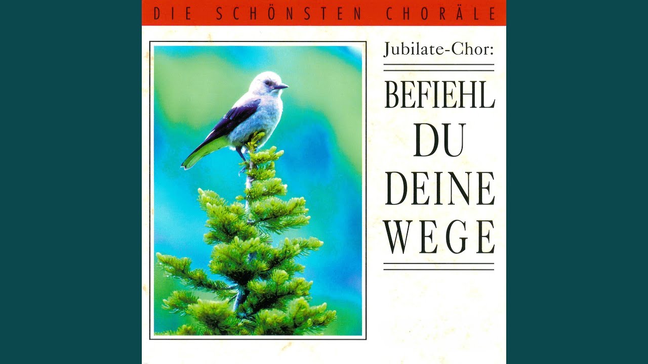 Der lieben Sonne Licht und Pracht