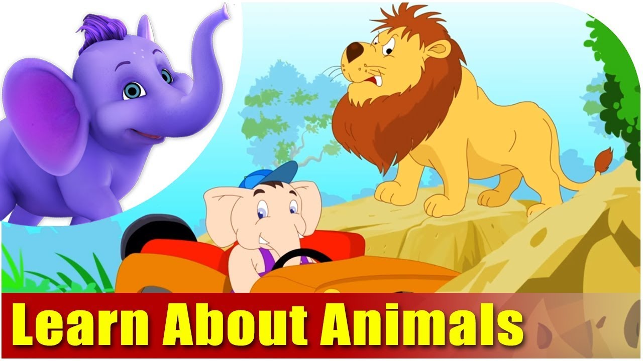 Let's Learn About Animals - Preschool Learning