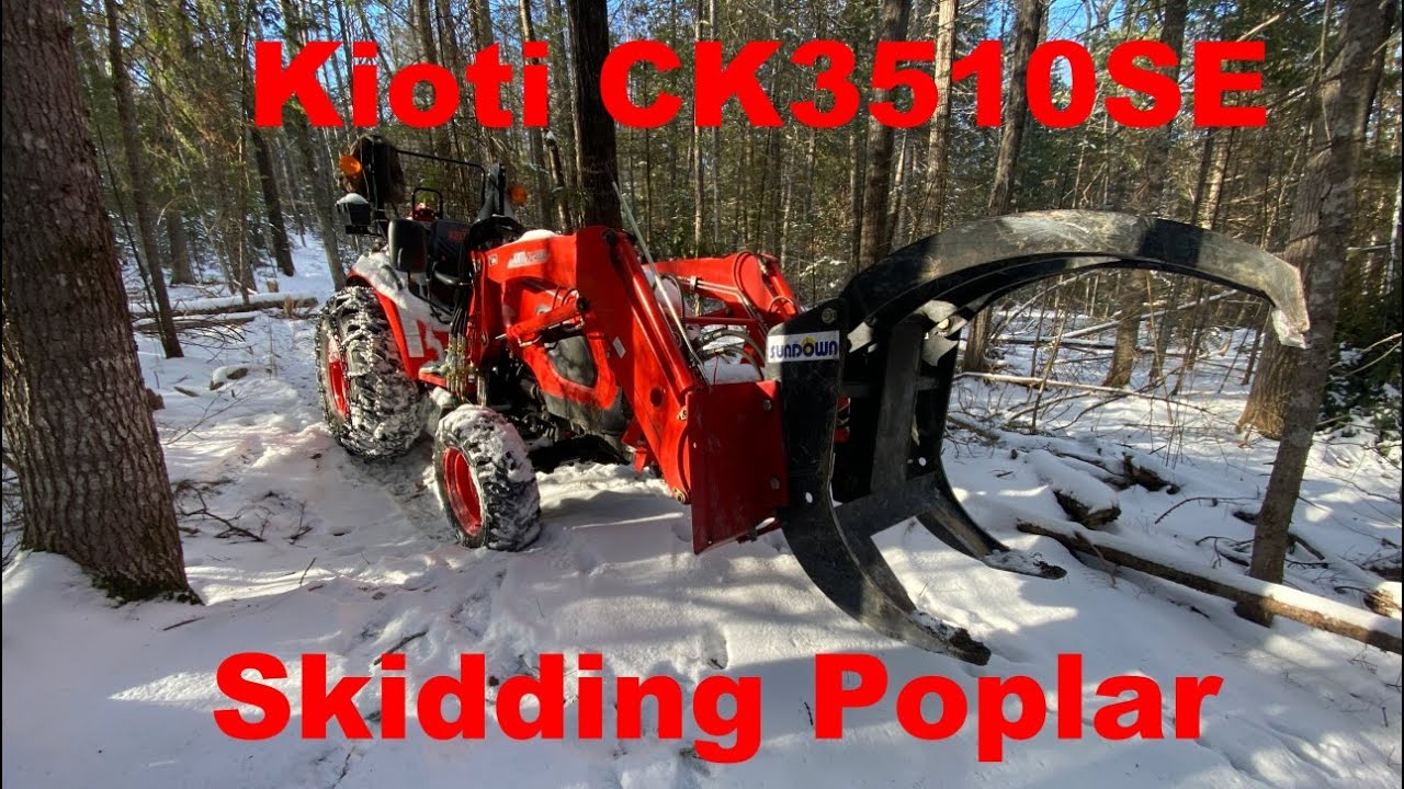 Low Impact Logging.....Why You Need To Harvest Big Trees Before Its Too Late!!!
