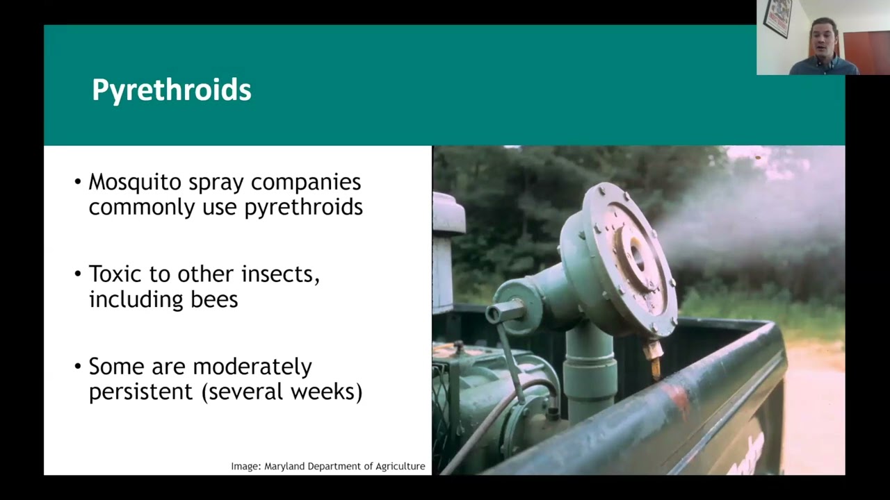 Risks of Residential Mosquito Sprays to Pollinators
