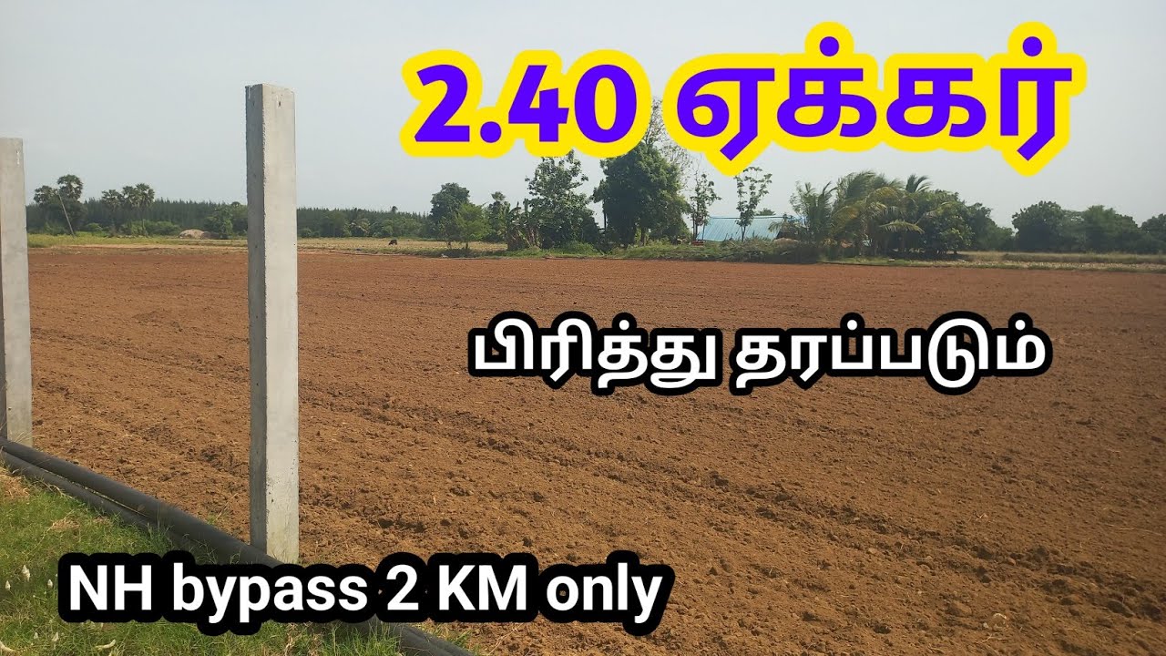2.40 Acre Punjai Land தார் ரோடு முகப்பு 330 அடி விற்பனைக்கு! #lowbudget #agriland #farmland#trending