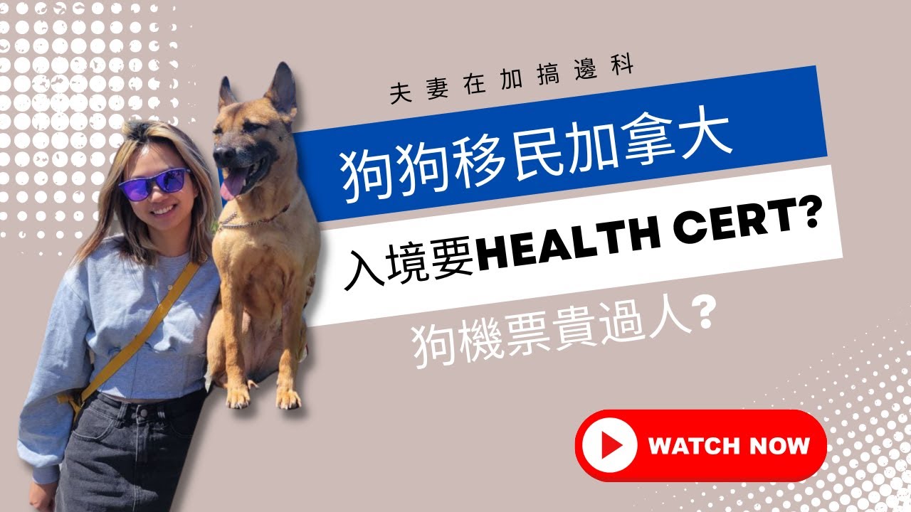 [寵物移民加拿大] 究竟帶狗狗去加拿大使唔使Health Cert? 比較CX, ANA,AC寵物寄倉費用