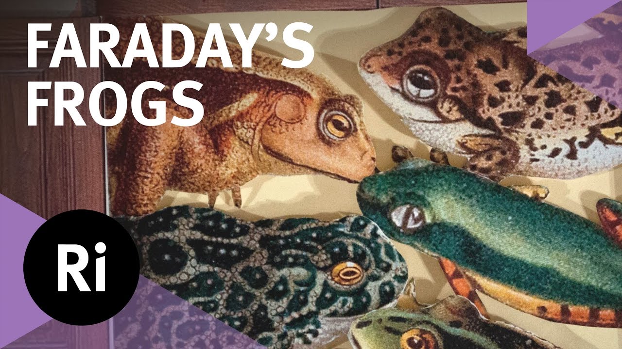 Michael Faraday's Electric Frogs