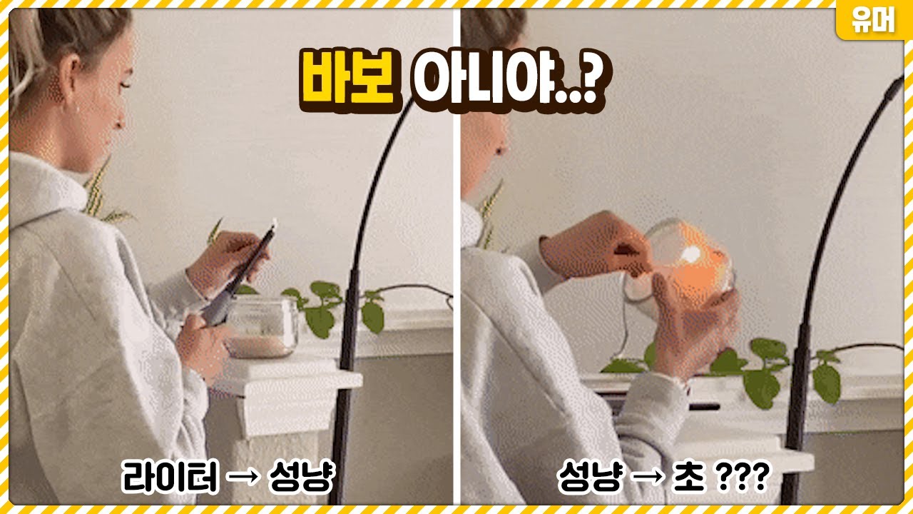아니 굳이 왜..? 도무지 이해할 수 없는 사고방식을 가진 바보들의 하루ㅋㅋㅋㅋㅋㅋㅋㅋㅋㅋ