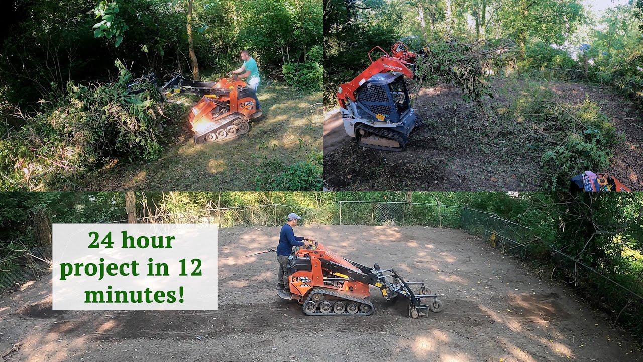 Giant Backyard JUNGLE CLEANUP - TIMELAPSE
