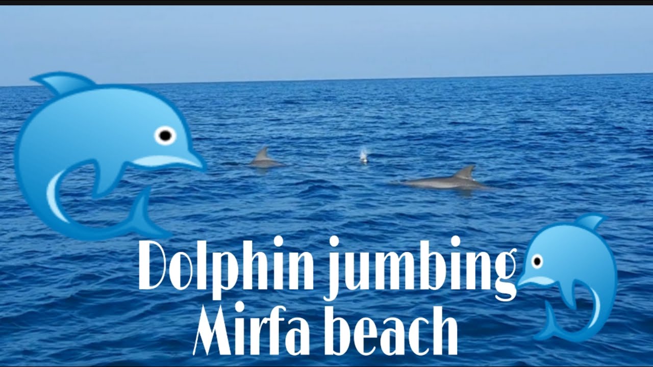 #dolphin #almirfa #aldharfa #abudhabi  Mirfa Sea/Amazing dolphin  jumbings/ Abudhabi