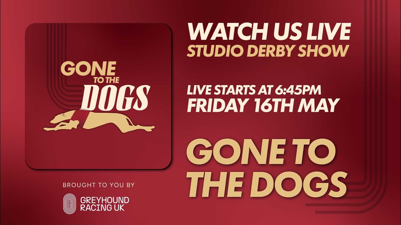 The Greyhound Derby Studio Show R2 H1-H8 16th May 2025