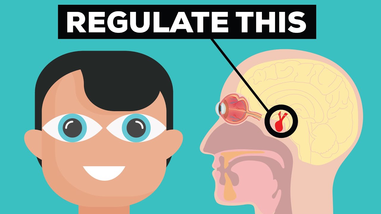 Why you're always tired (and how to fix that)