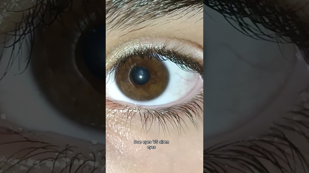 Doe eyes or siren eyes? 