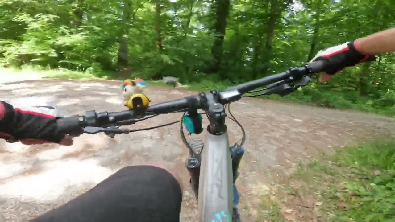 Trails of Hall | Urkorn & Vollkorn #orbearise #traillove