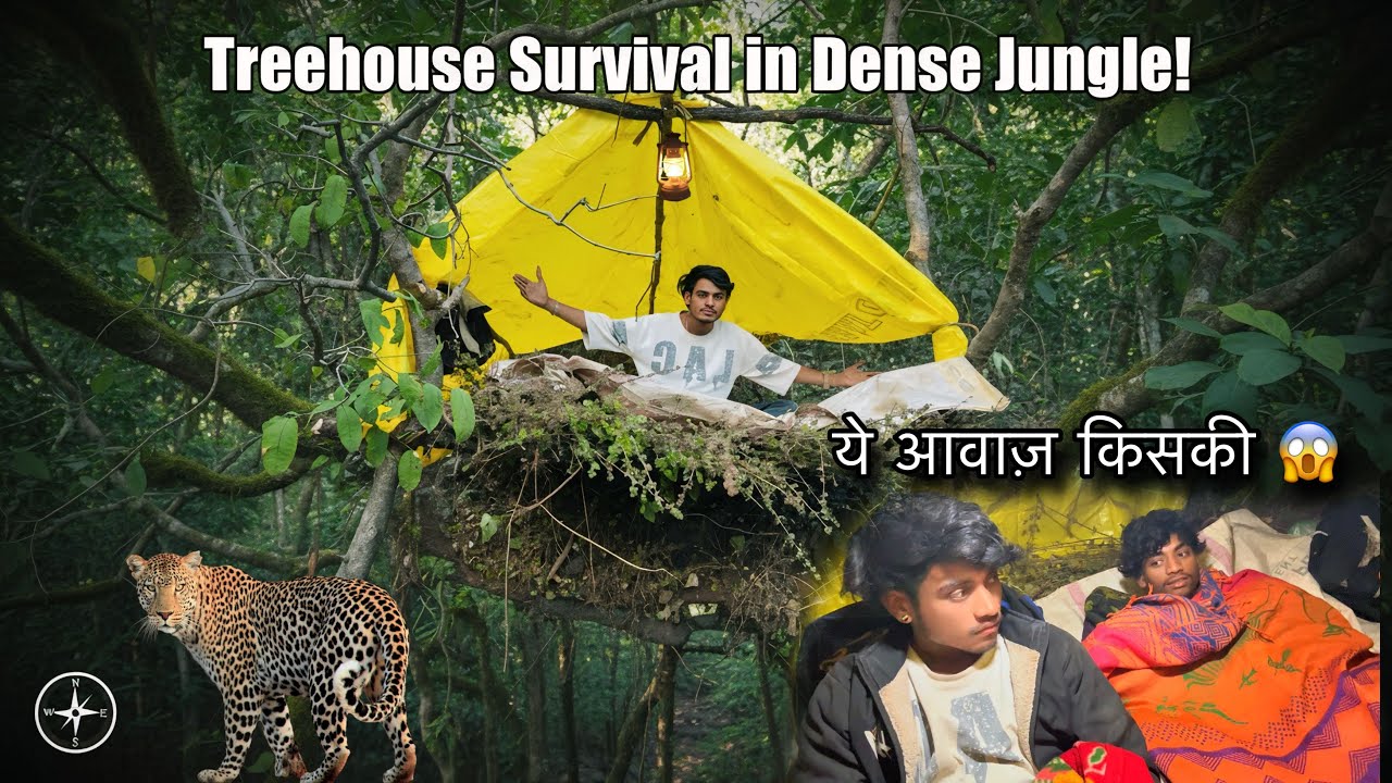 I Built A Suspension Tent On The Tallest Tree For 24 Hours | Surviving Above The Jungle