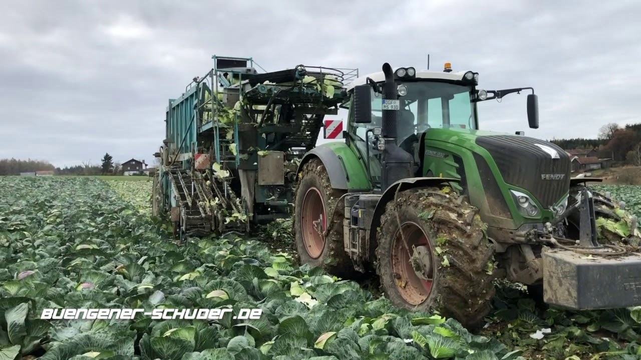 Kohlernte 2020 mit Büngener Schuder GmbH