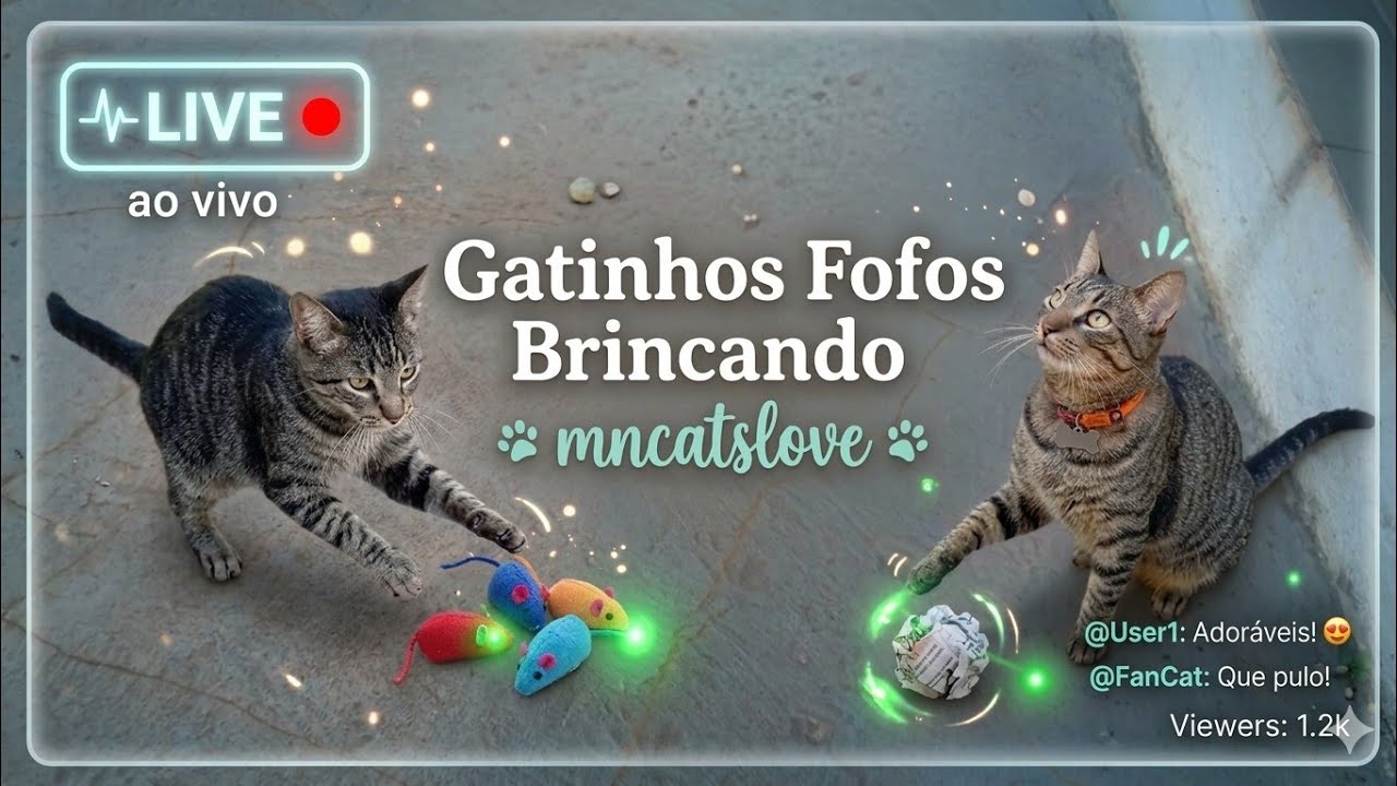 Mei e Nino está ao vivo!