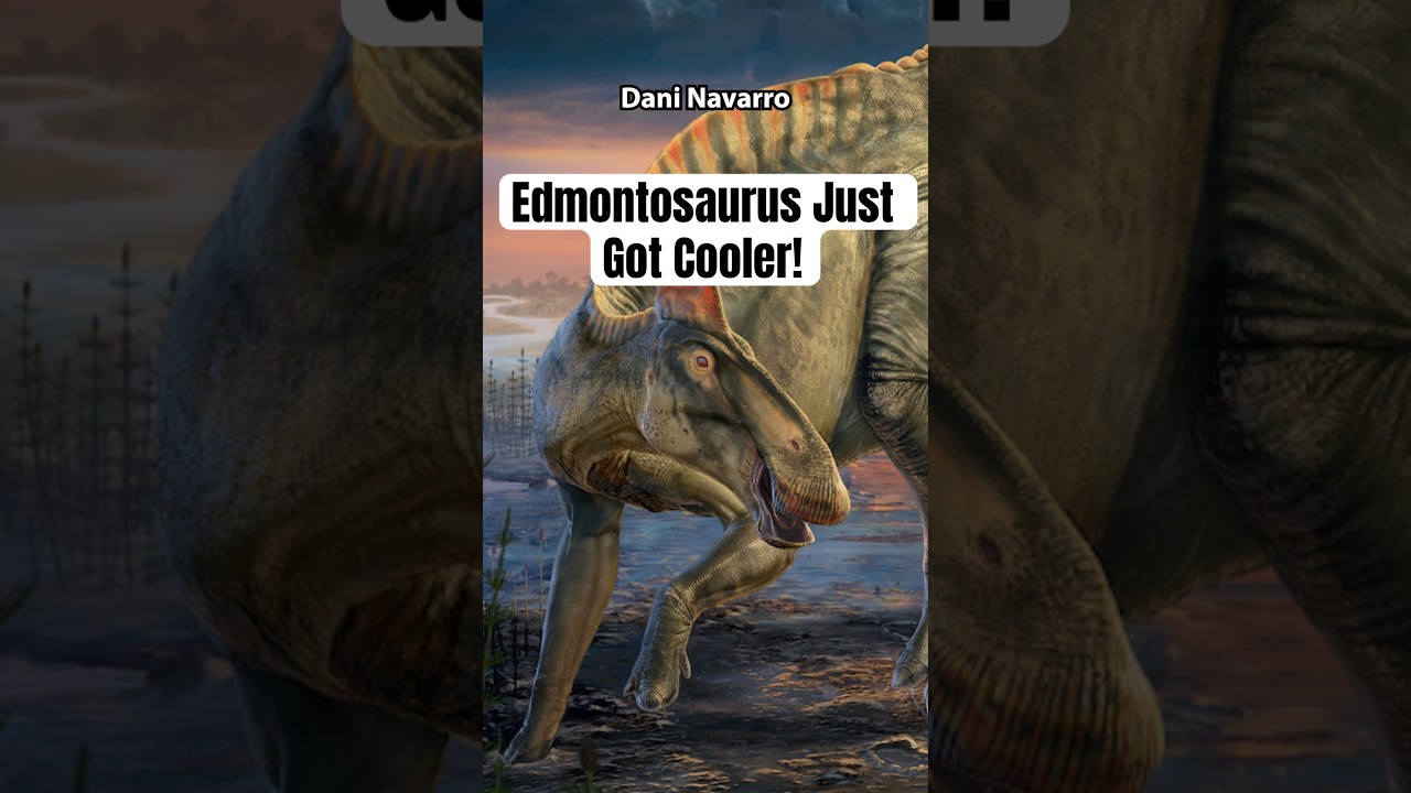 Edmontosaurus News!