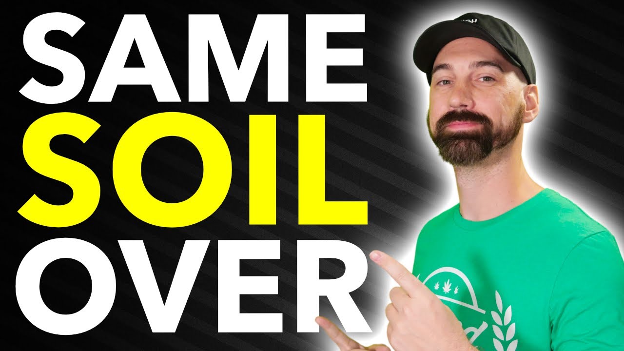 5 Cannabis Plants THRIVING With Organic Gardening Methods!