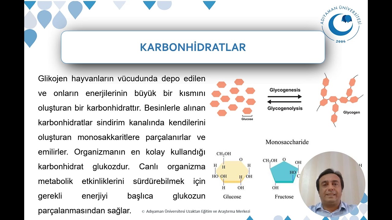 Karbonhidratlar