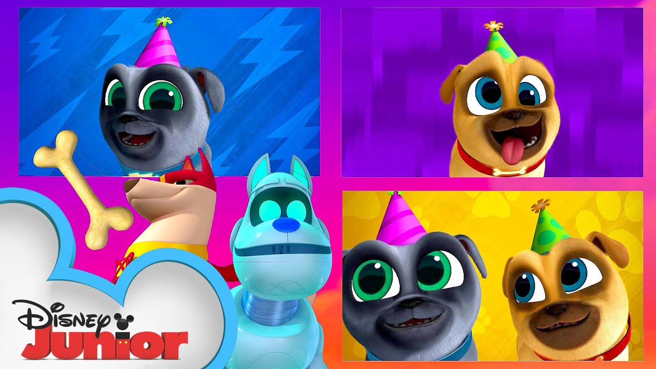 National Puppy Day with Bingo and Rolly! 🐶| Puppy Dog Pals | Disney Junior