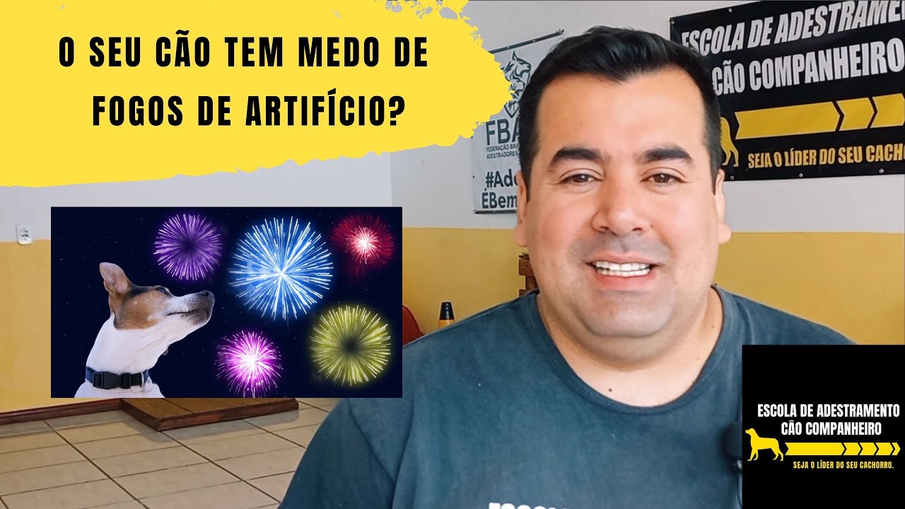 Tire o medo do seu cão por fogos de artifício! Exercício simples!