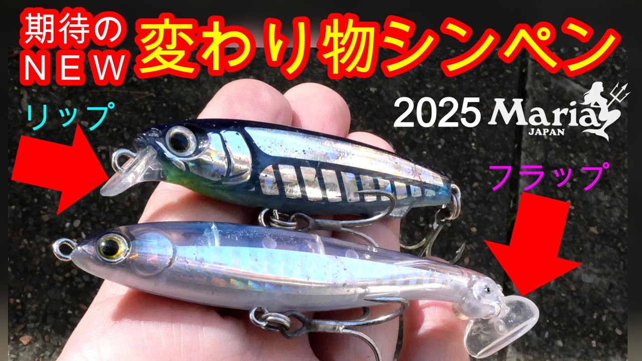 【水中映像】2025最新シンキングペンシル　MARIA フラペンウィング　サウザー　ショアプラッキング