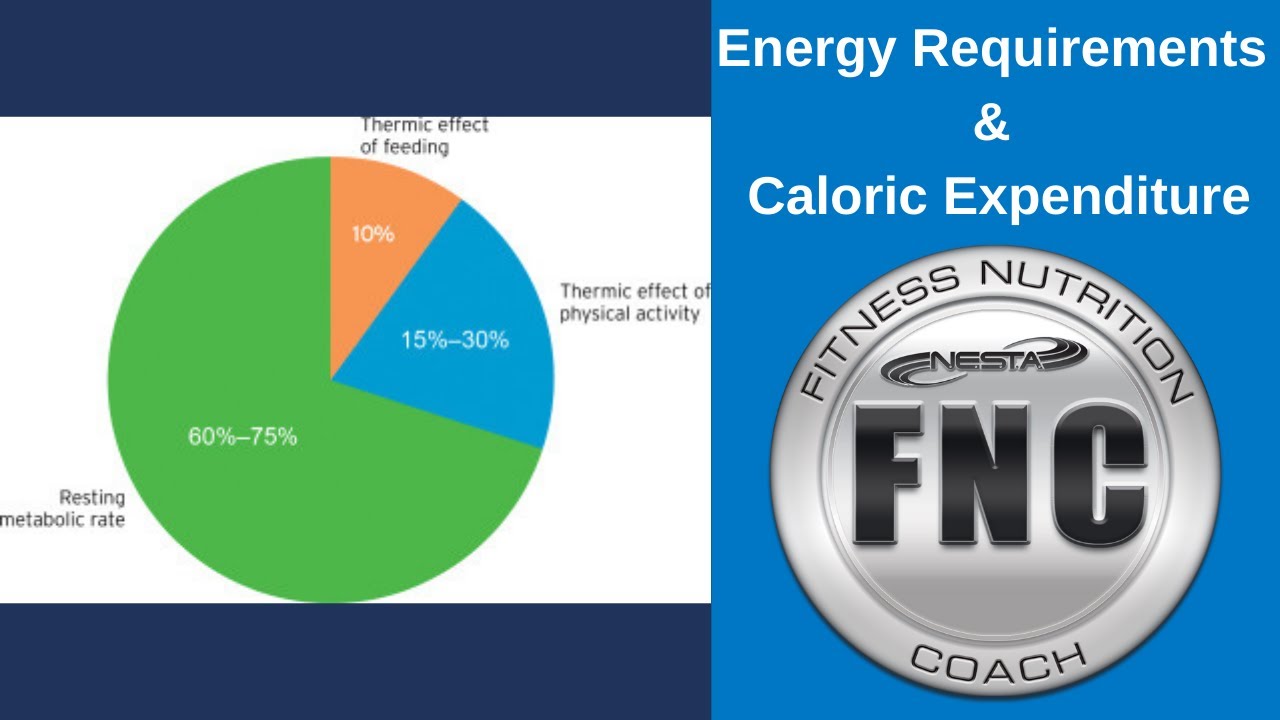 Energy Needs and Caloric Expenditure | Nutrition Consulting & Education